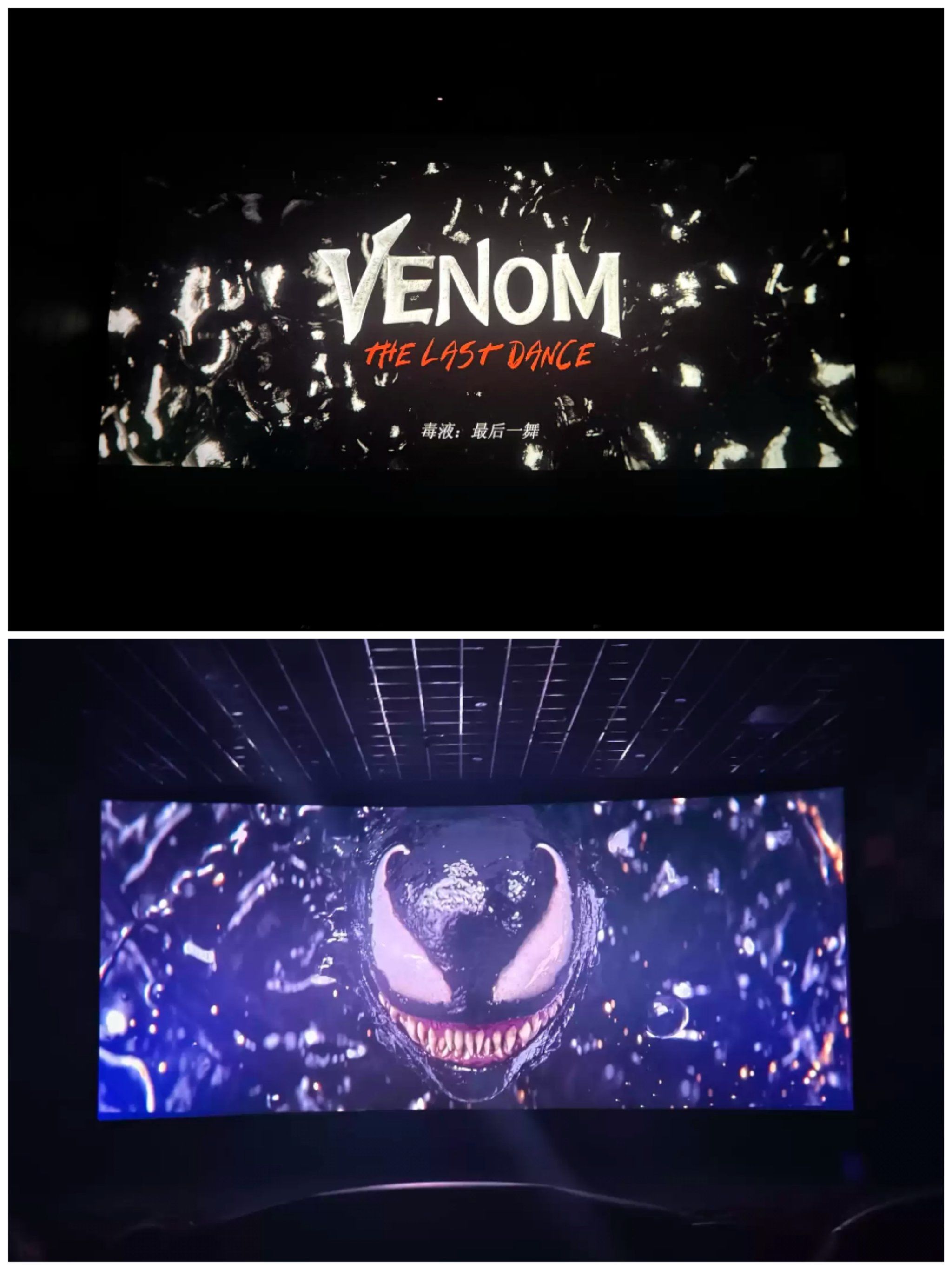 英雄联盟台服官网地址一览-最后时刻胜出首场状态出色，TL观众沸腾！，德布劳内重返赛场赢得满堂喝彩的简单介绍